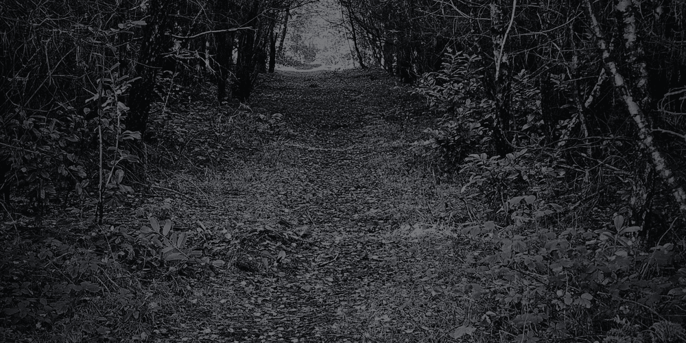 The Black Eyed Child Of Cannock Chase